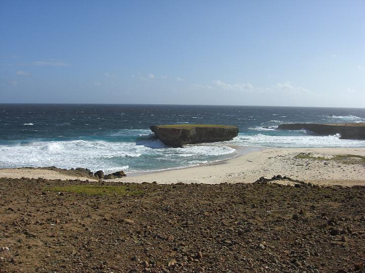 Aruba - January 2008 011.JPG